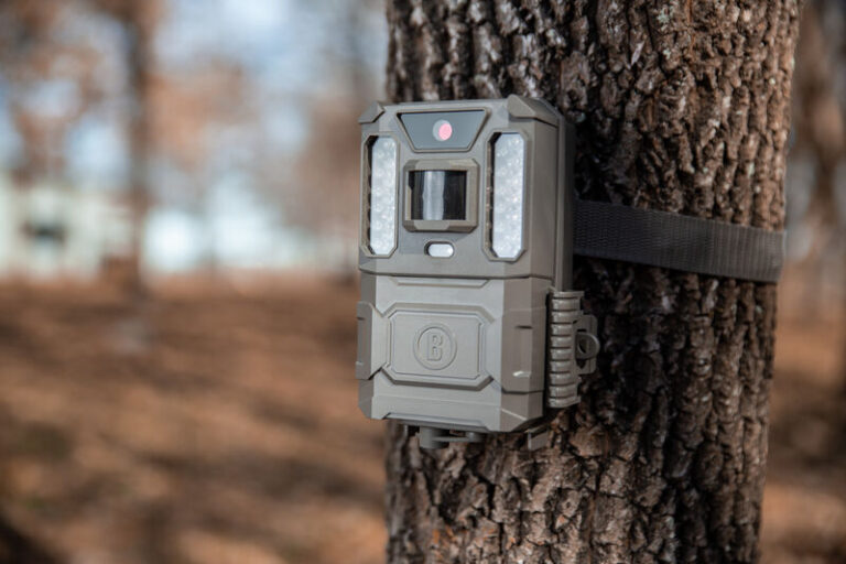 Exploring the Latest Innovations in Deer Cameras: What You Need to Know