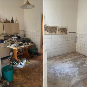 So kann Messi Wohnungsauflösung in Berlin Ihren Umzugsprozess deutlich vereinfachen